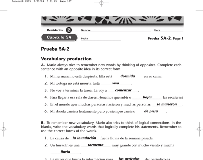 Realidades 3 guided practice answers