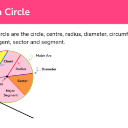 Name that circle part worksheet answers