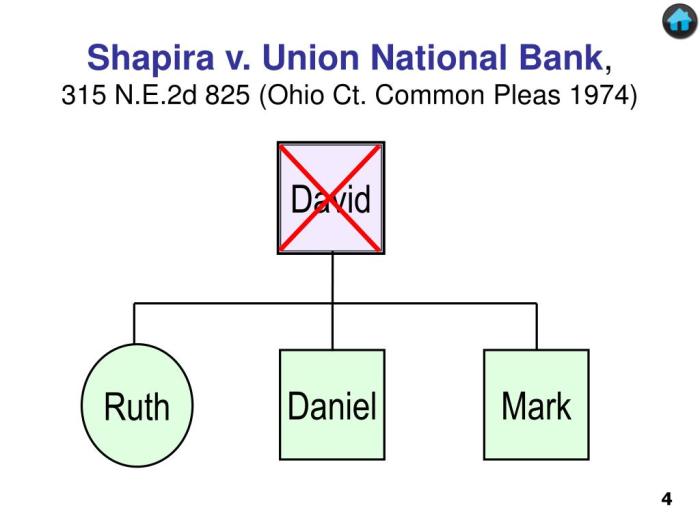 Shapira v union national bank