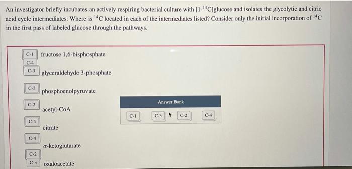 An investigator briefly incubates an actively respiring bacterial culture