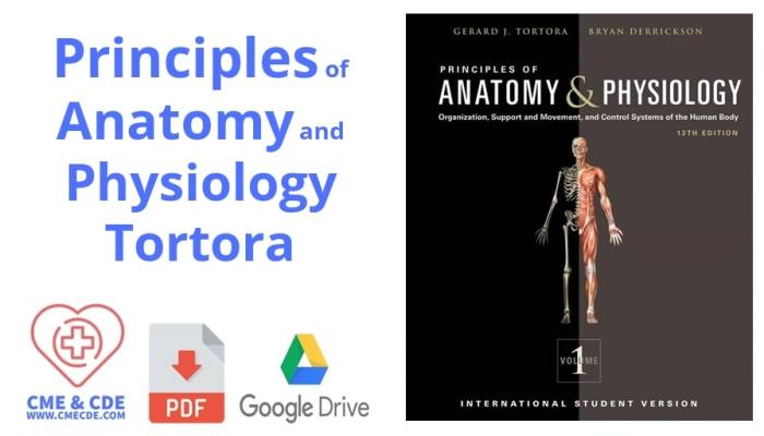 Hole's human anatomy & physiology 16th edition pdf